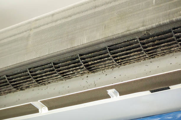 Best Affordable Air Duct Cleaning  in Fairview Park, OH